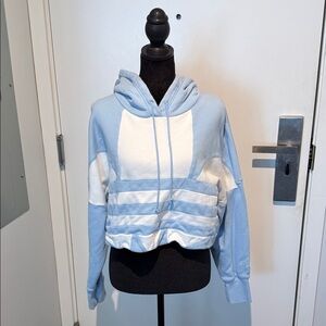 Adidas Blue and White Striped Hoodie